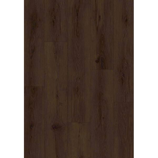 XFV2215 Black Oak